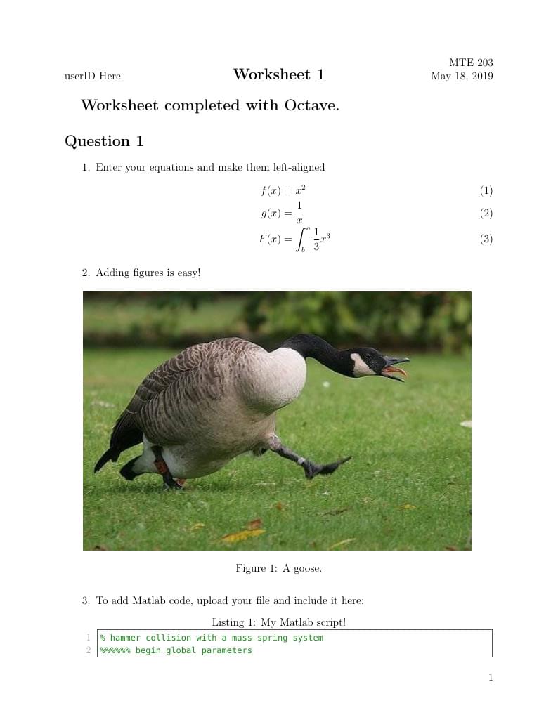 Matlab Worksheet Template
