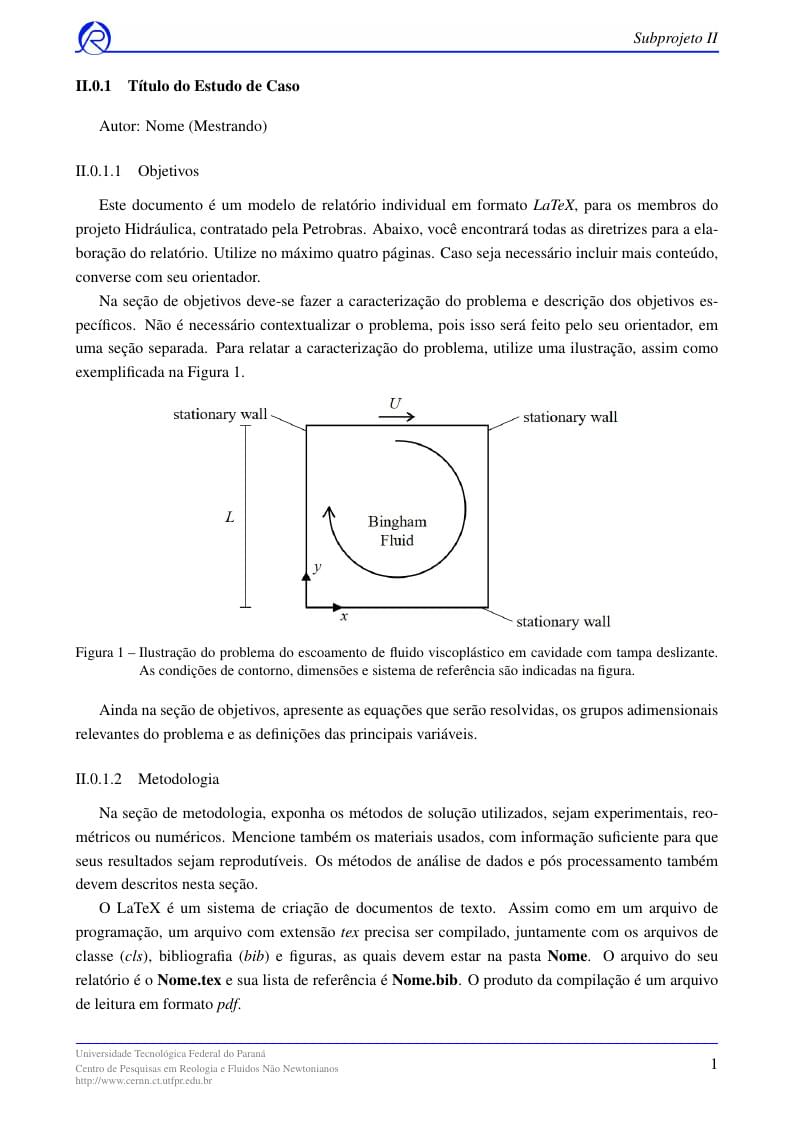 Template Rel CERNN Proj Hidraulica