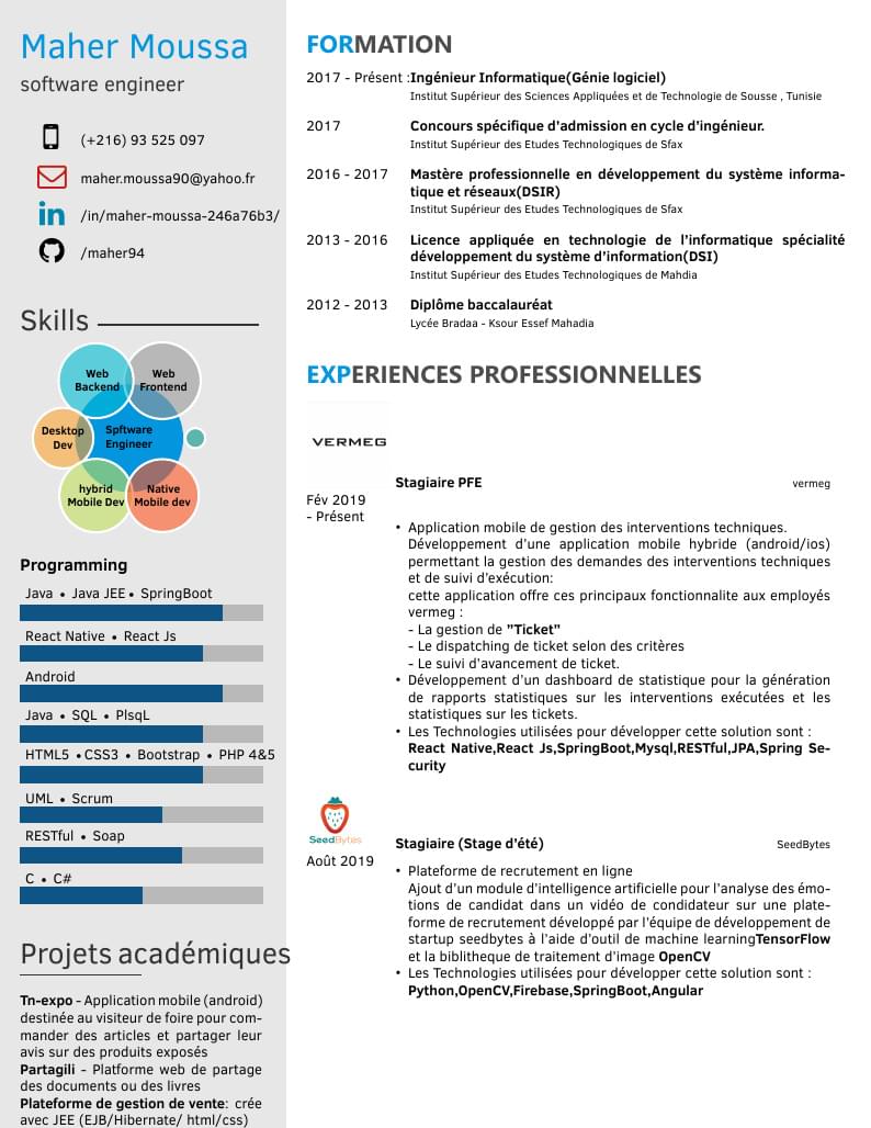 Maher Moussa's CV