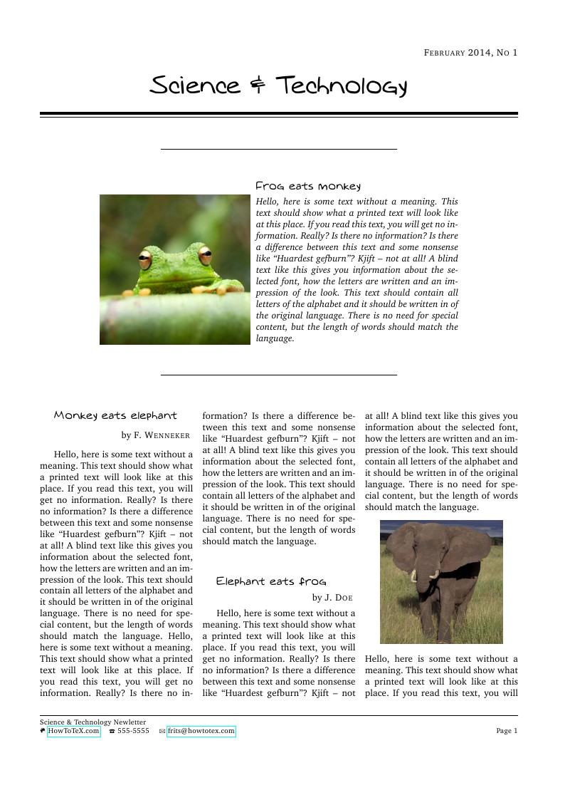 Newsletter Template
