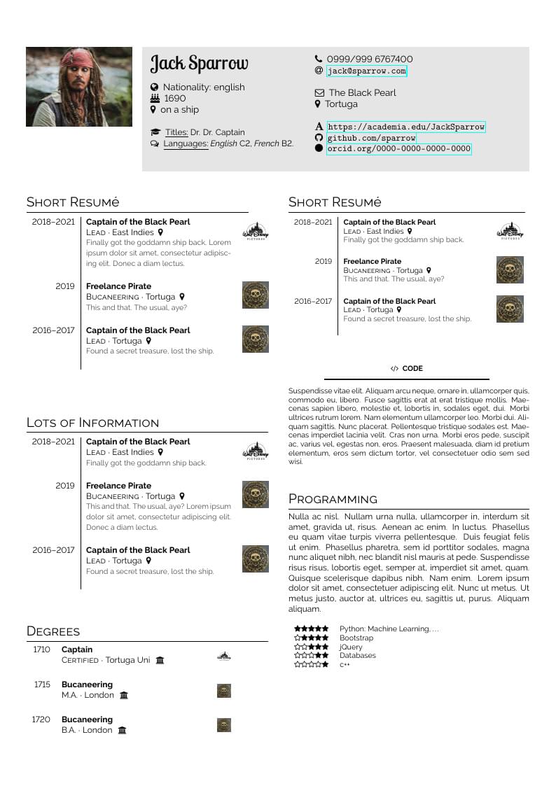 Modern Simple CV