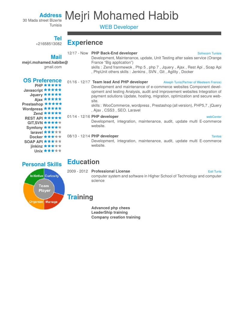 Mejri Mohamed Habib's CV