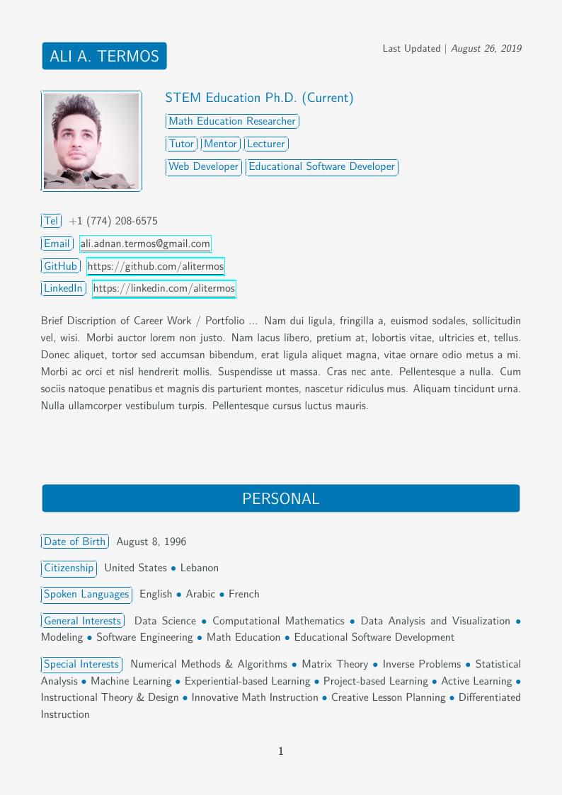 Bullet Material CV