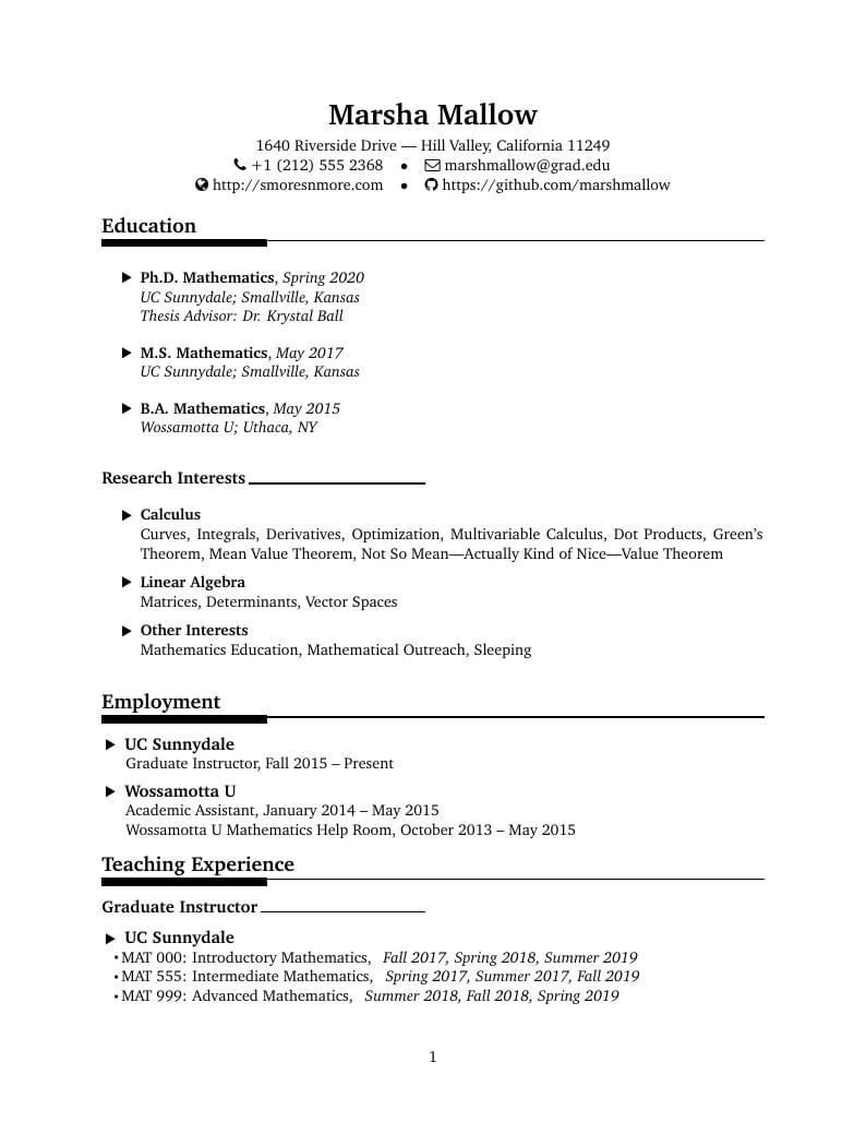 CV Template