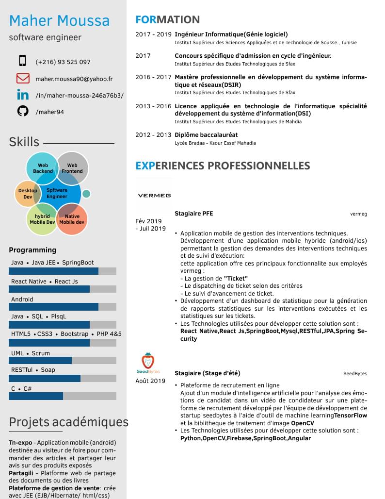 Maher Moussa's CV