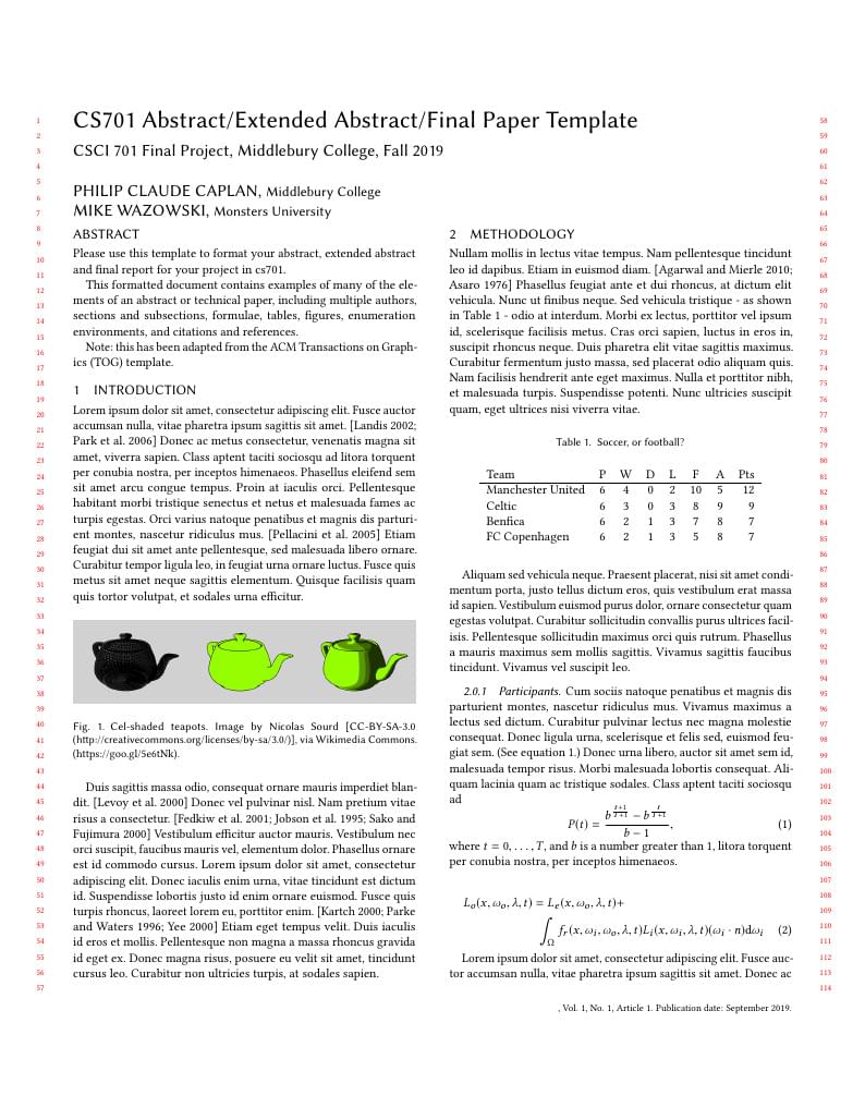 CS701 project template