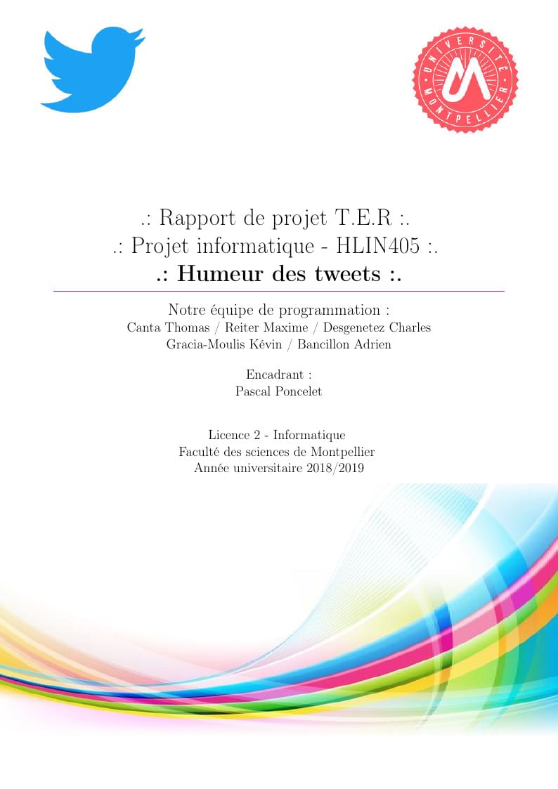 HLIN405 - Humeur de tweets - Rapport