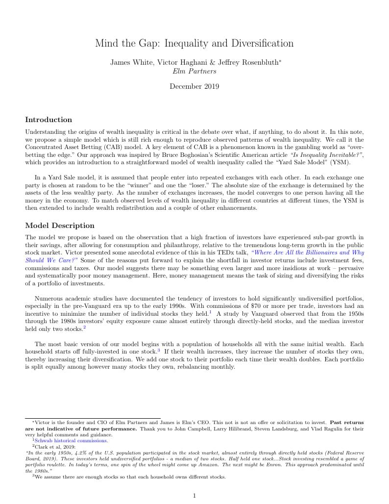Mind the Gap: Inequality and Diversification