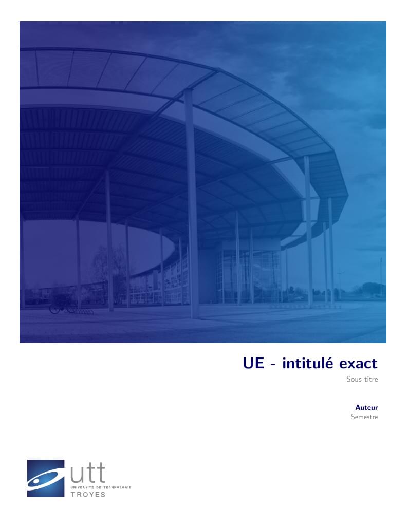 Université de Technologie de Troyes Rapport d'UE