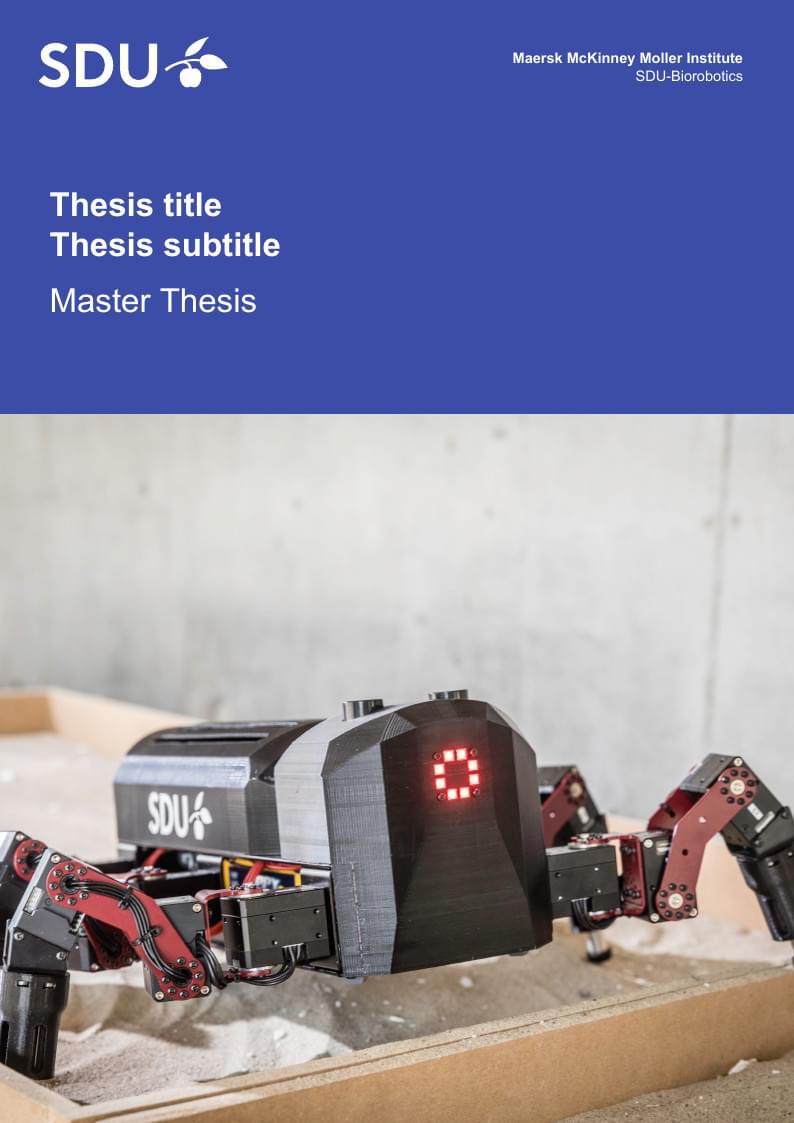 University of Southern Denmark Thesis template