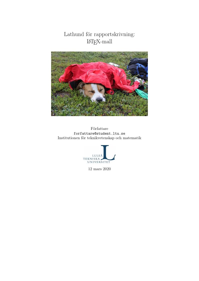 Luleå University of Technology lab report template (TVM department)