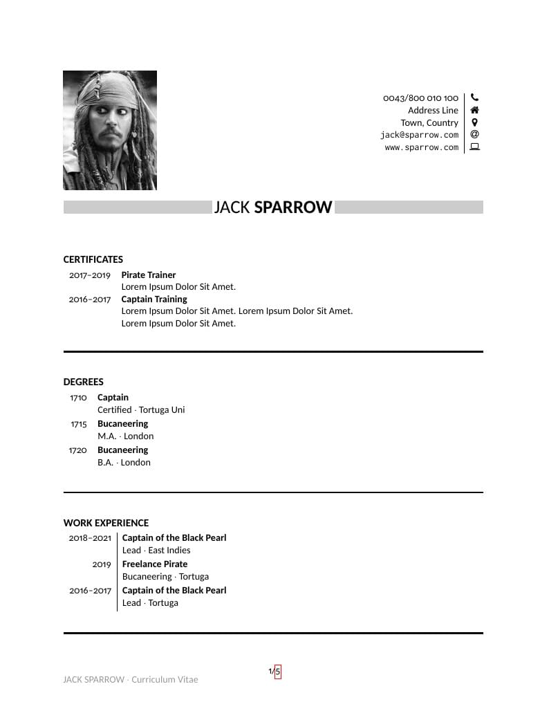 One Row Academic CV