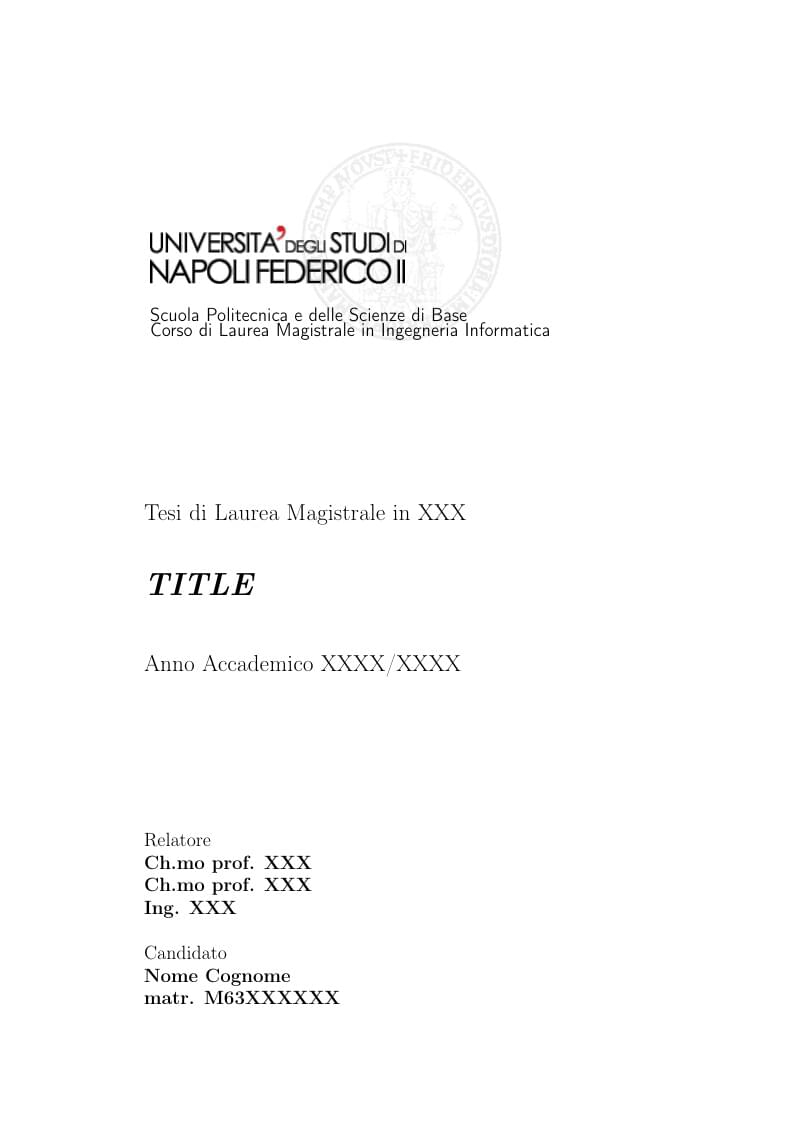Template for UNINA M.Sc. Thesis Project Report