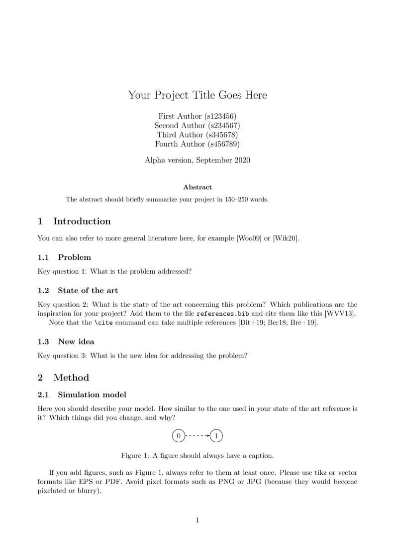 DMAS project report template