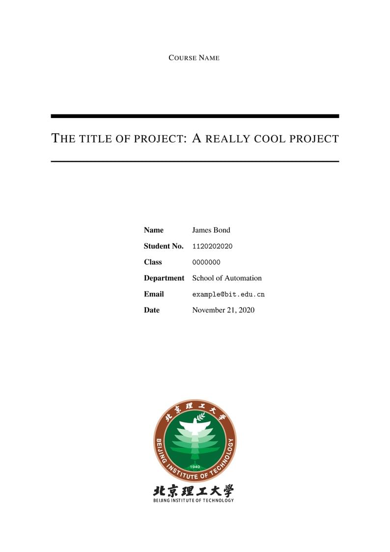 Beijing Institute of Technology Report Template