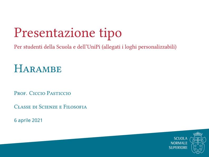Beamer presentazione SNS Ordinario