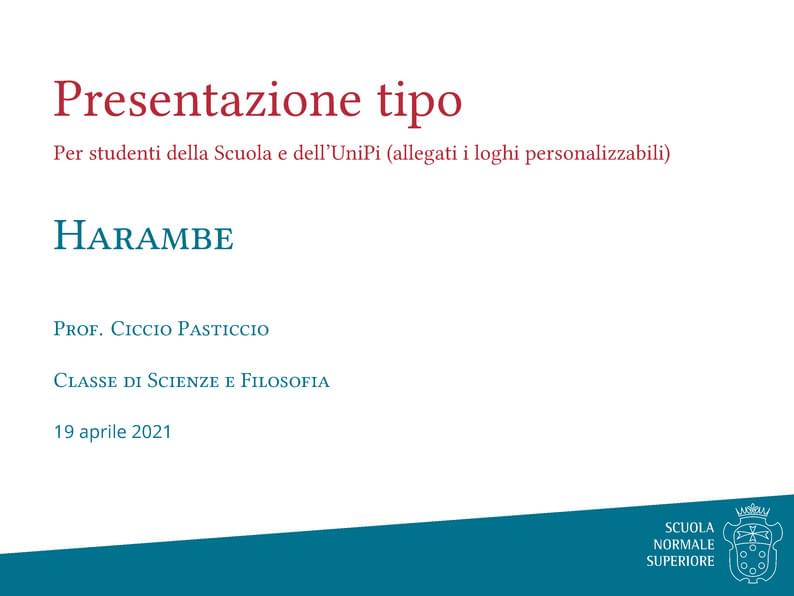 Beamer presentazione SNS Ordinario