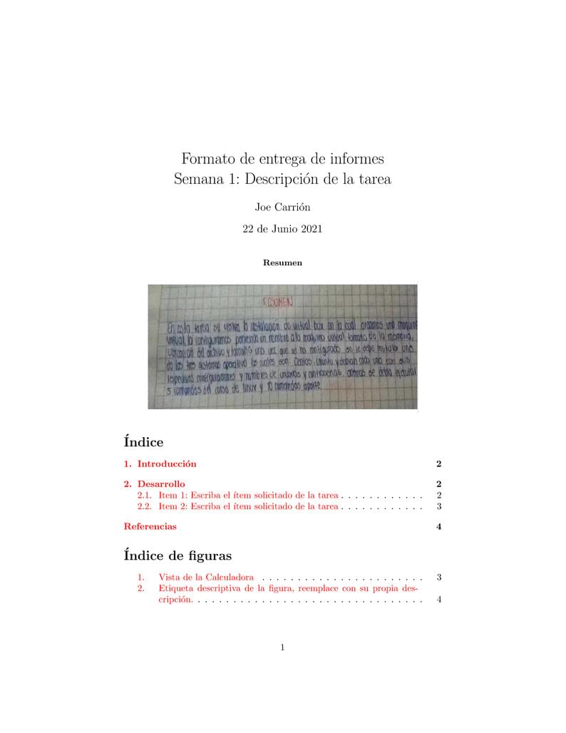 Formato de entrega de Informes de Tareas