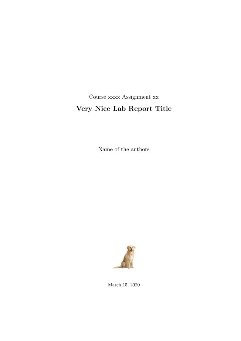 A Simple Lab/Assignment Report