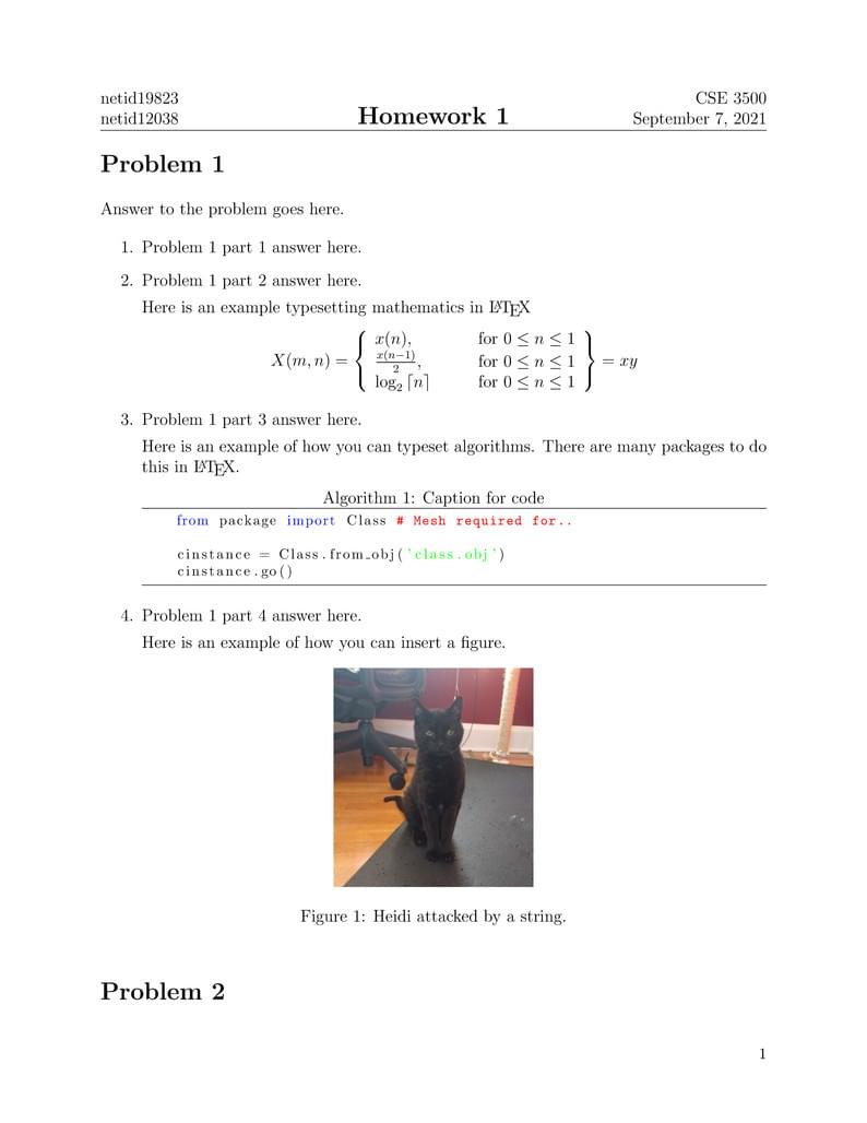 CSE-3500 Algorithms & Complexity Homework Template