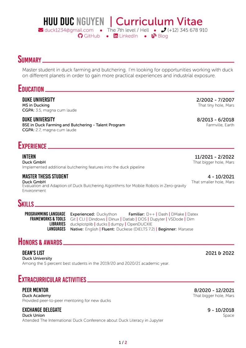 Curriculum Vitae Latex