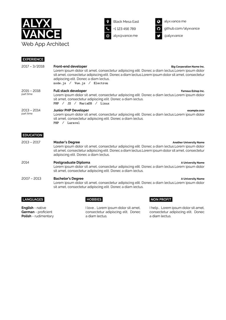 Developer Resume