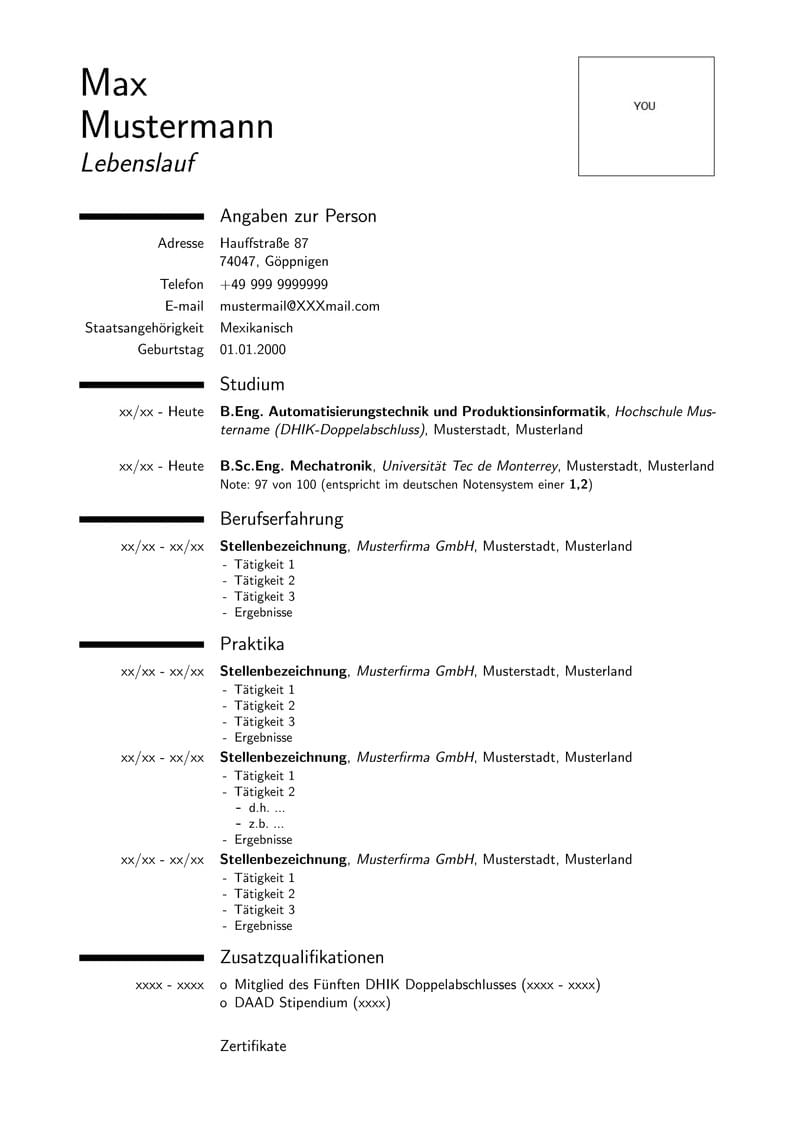 DHIK Lebenslauf Vorlage