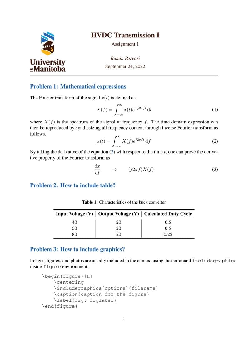 UofM Assignment Template