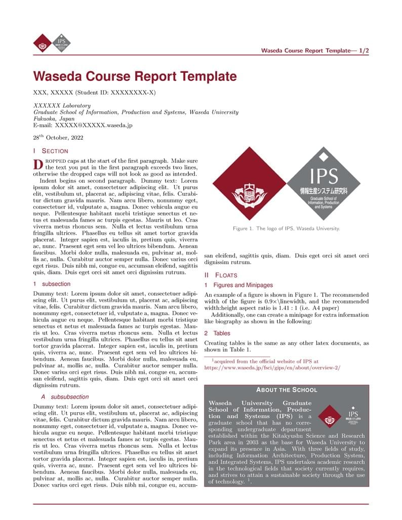 Waseda Course Report Template