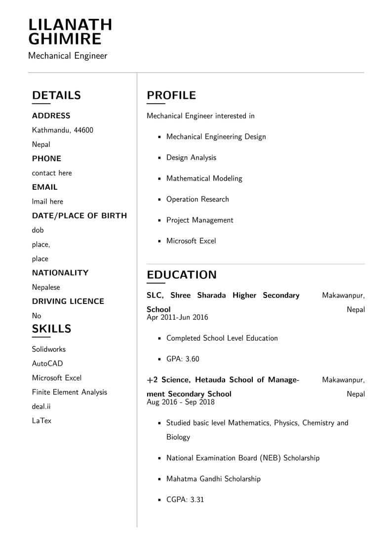 Simple Professional CV