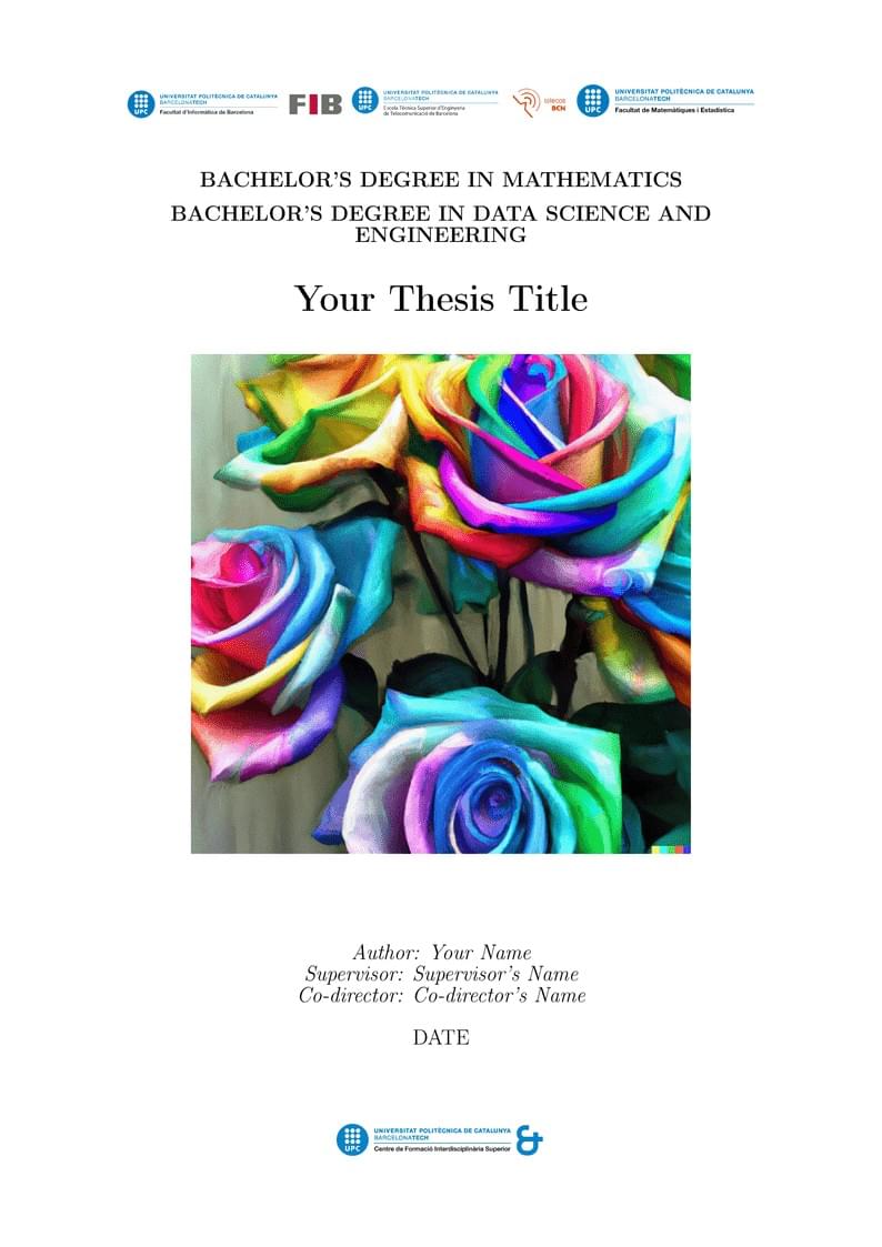 CFIS-UPC Bachelor's Thesis