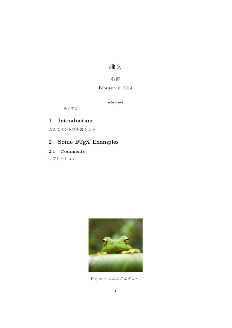 Japanese LaTeX Template