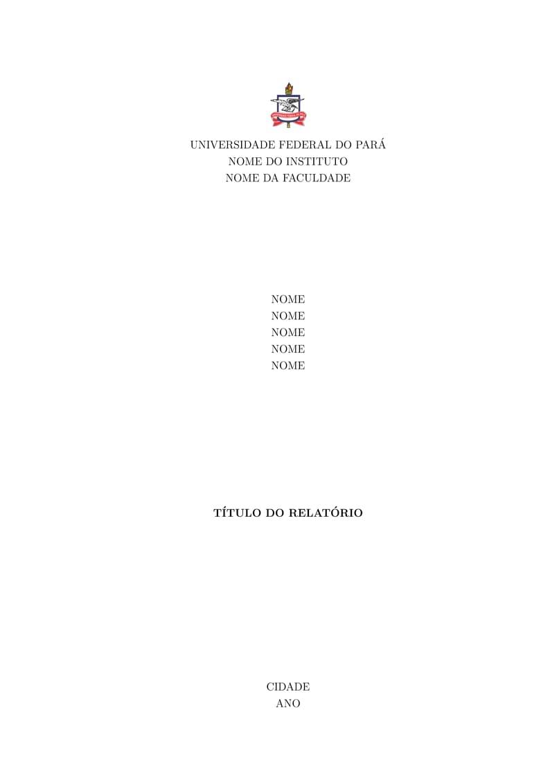 Relatório UFPA v.1.0