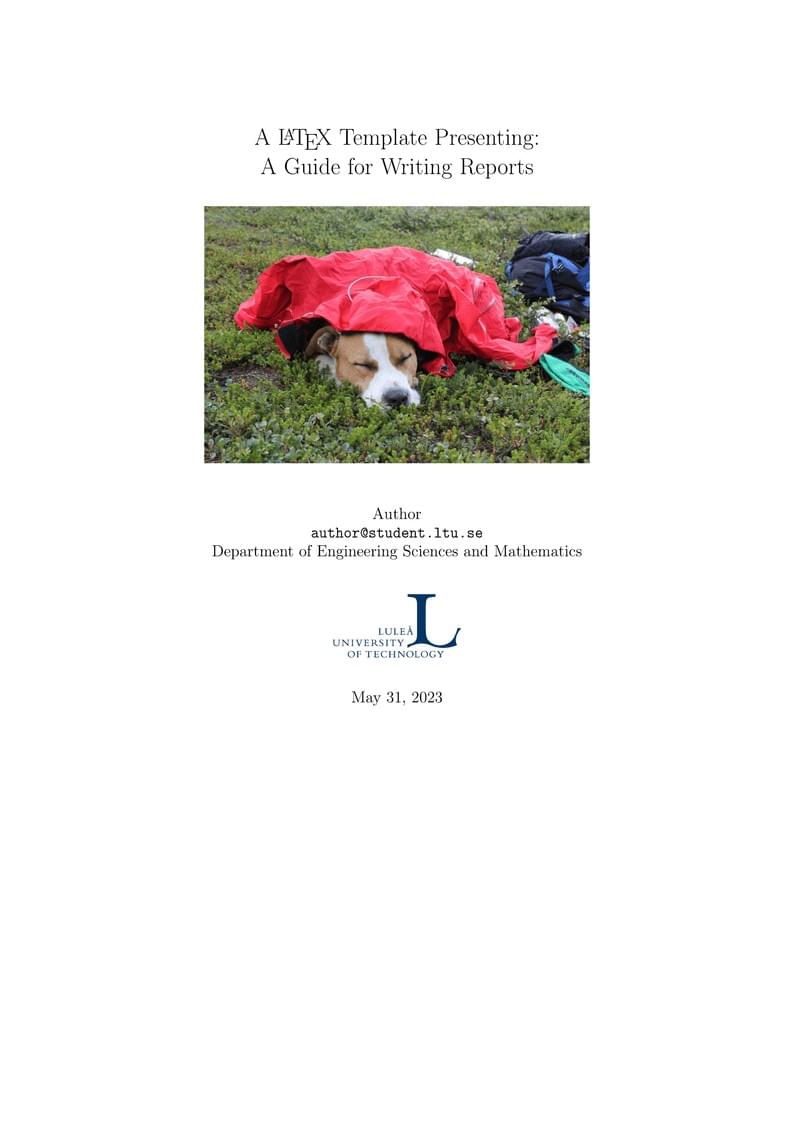 Luleå University of Technology English Report Template (TVM department)