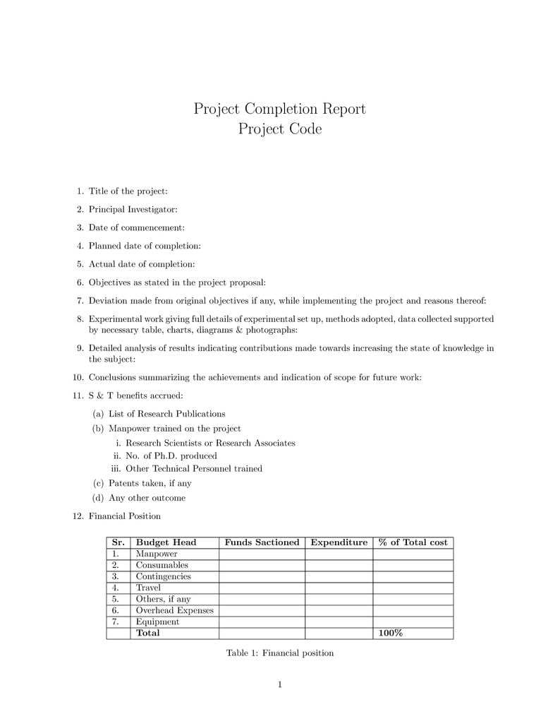 Project Completion Report