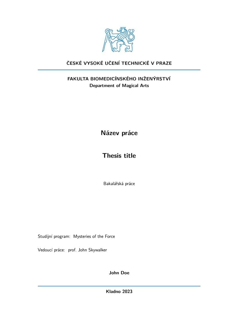 FBMI Thesis Template