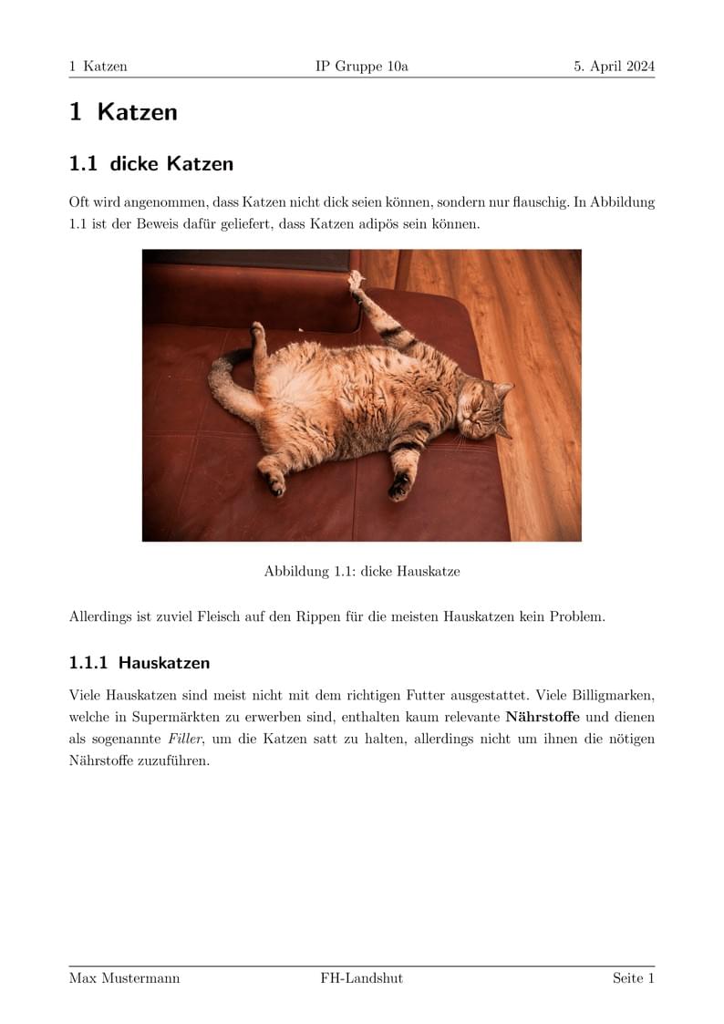 PA2 Projektarbeit FIW