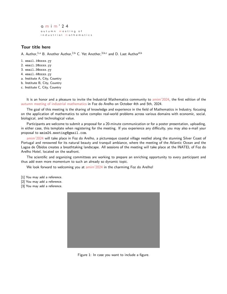amim2024 Abstract Template