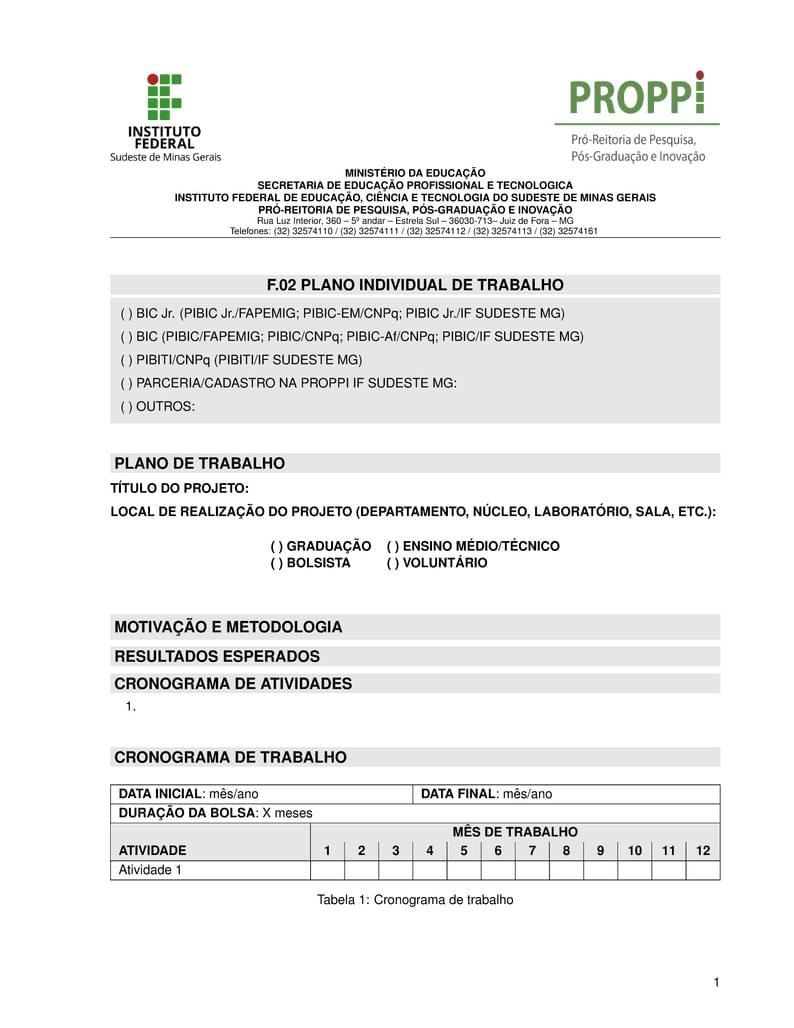 F-02 - Plano Individual de Trabalho (IF Sudeste MG)
