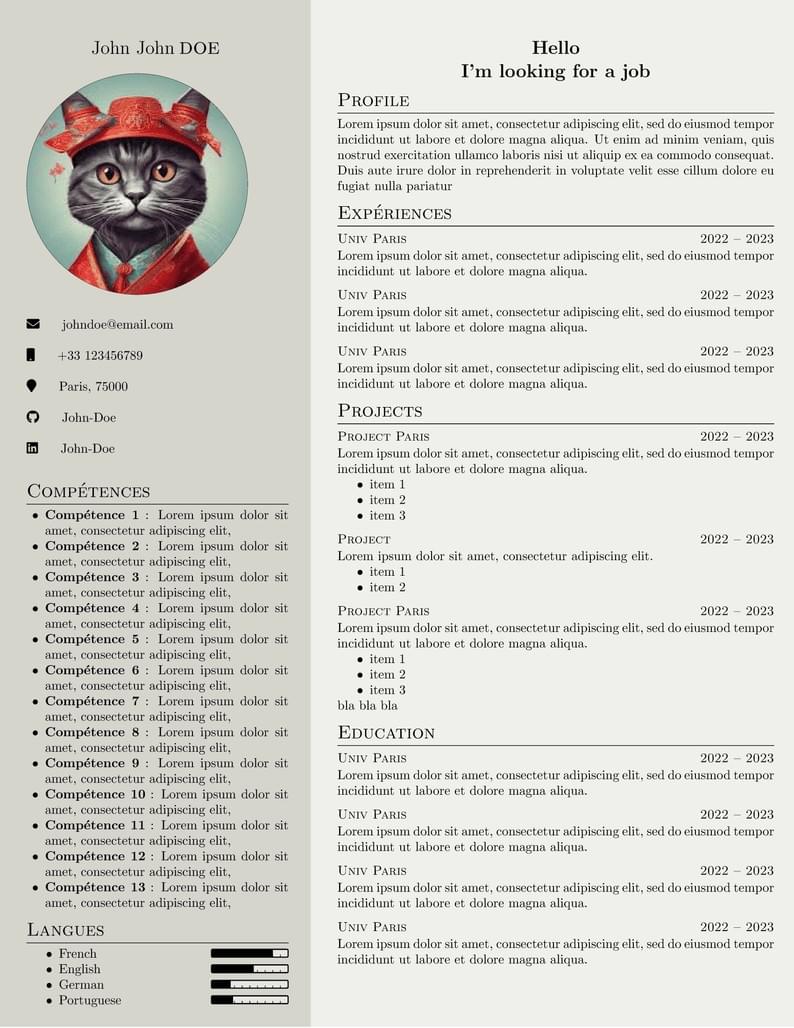 CV-by-ekon_ihc