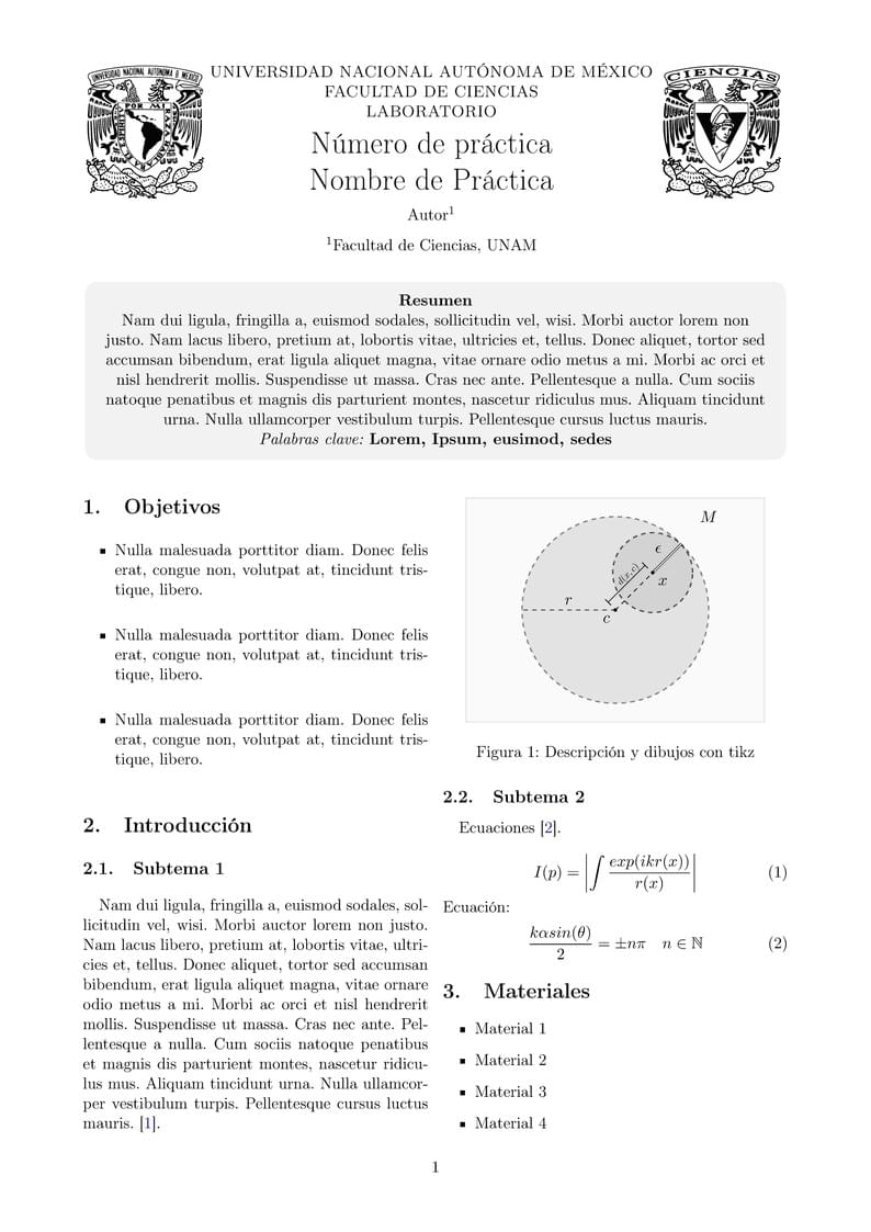 Plantilla Reporte Laboratorio FC UNAM