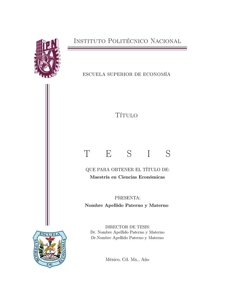 IPN Bachelors Thesis