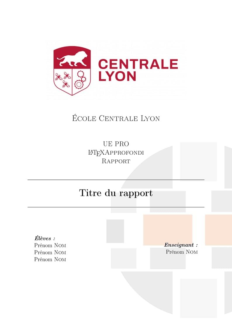 Rapport Centrale Lyon