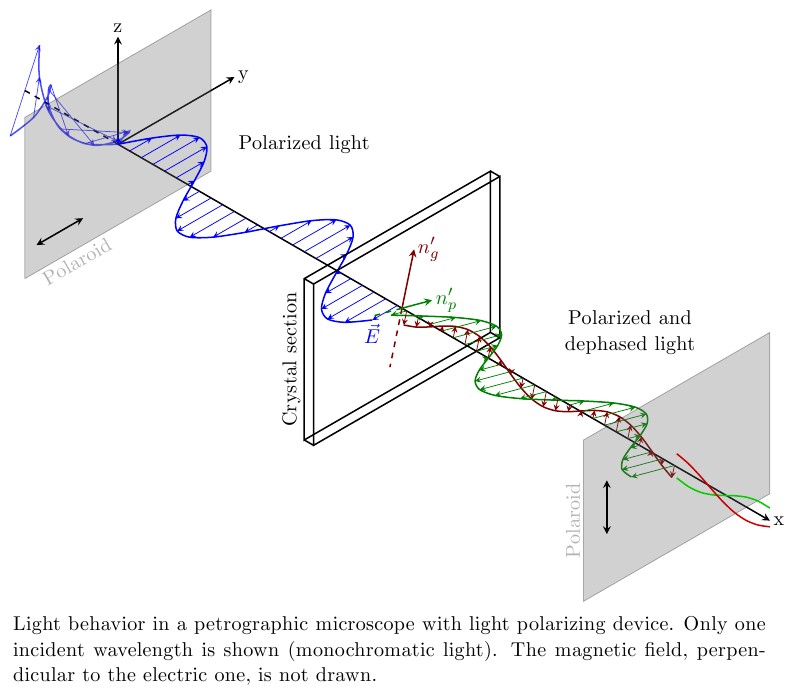 Polarizing microscope