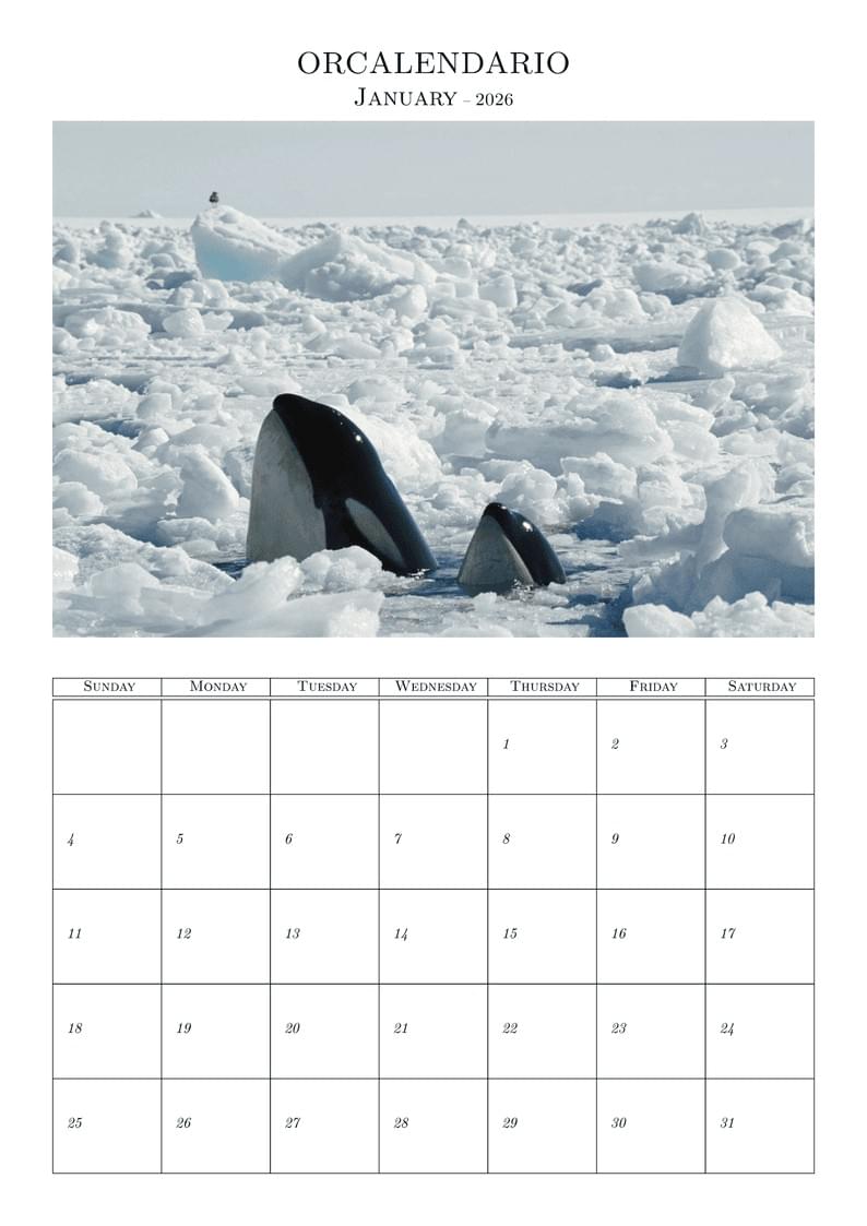 OrCalendar 2026