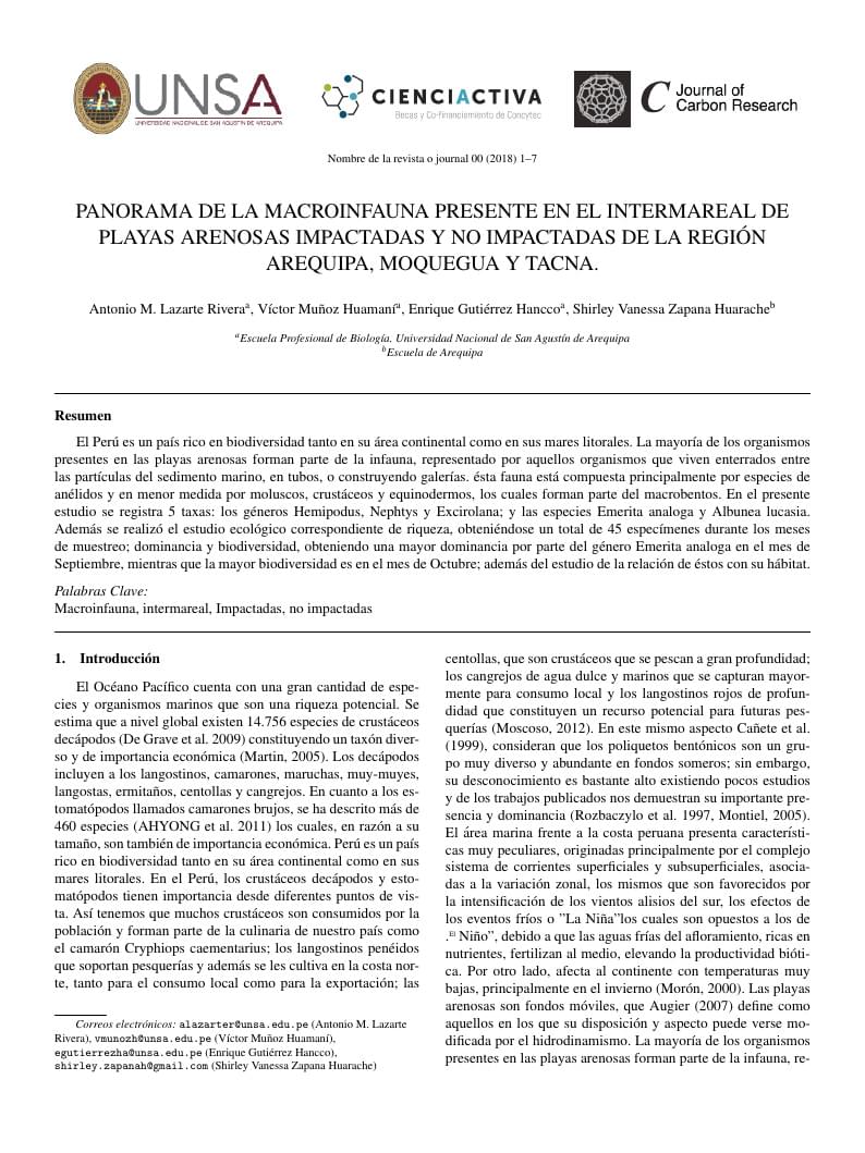 ESQUEMA DE PUBLICACION PAPER - UNSA