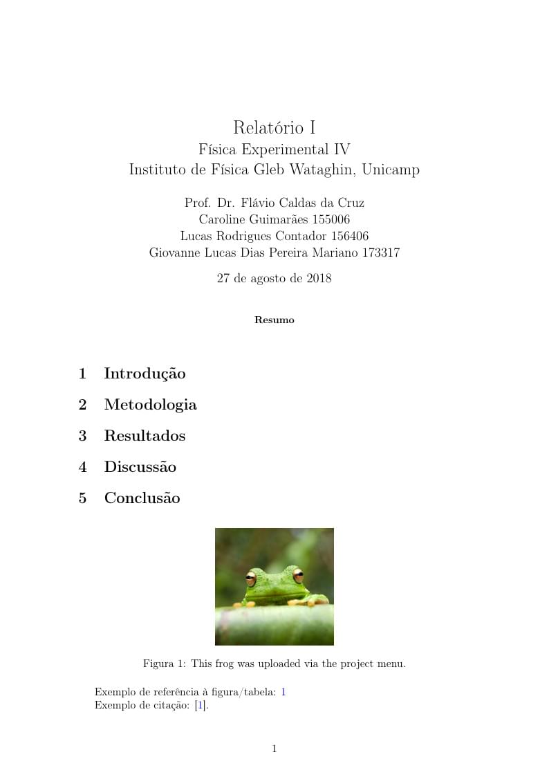 Unicamp F429 Template