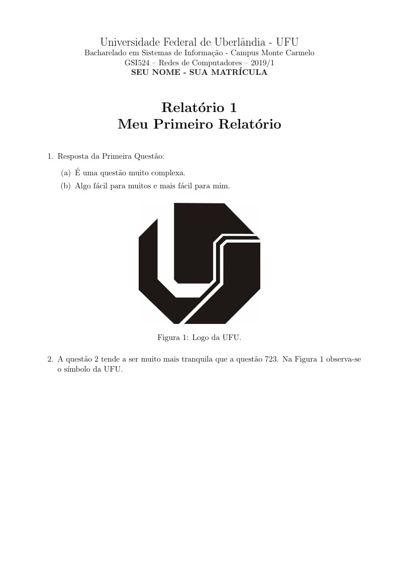Modelo de Relatório - GSI524 - UFU/MC
