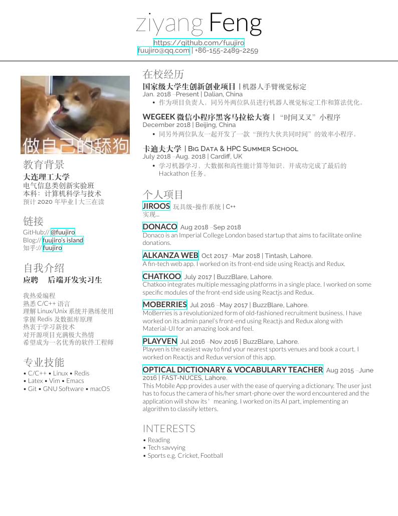 cv_cool_CN (中文简历模版-可附头像)