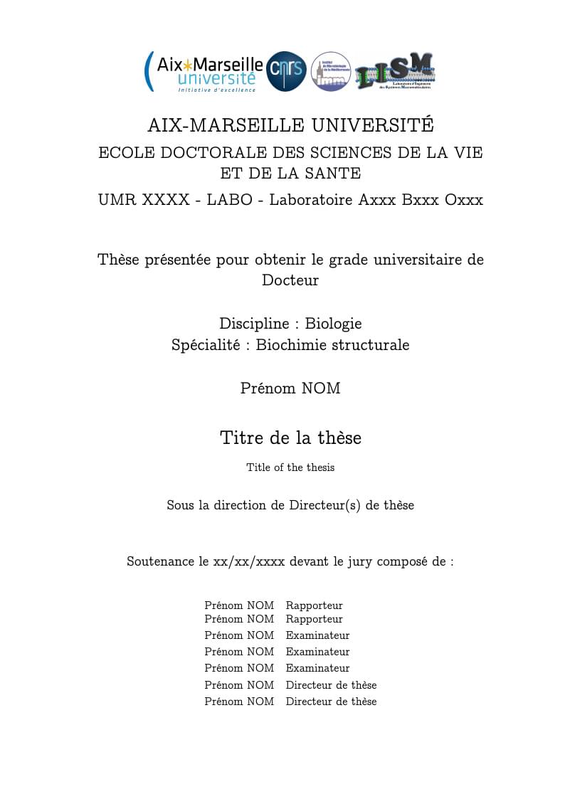 AMU thesis template